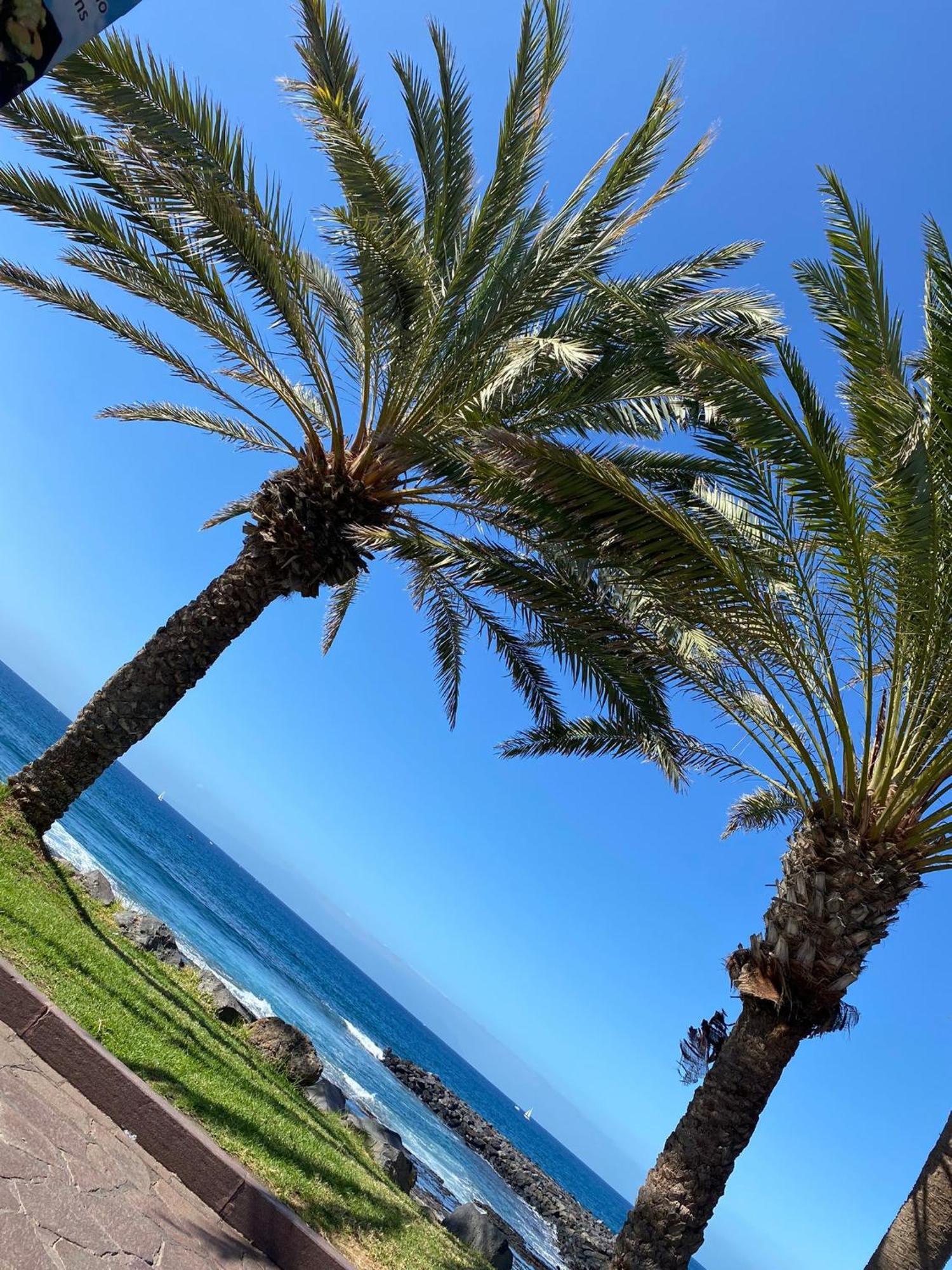 Playa Feñabe Coconut Apartament In Garden City מראה חיצוני תמונה